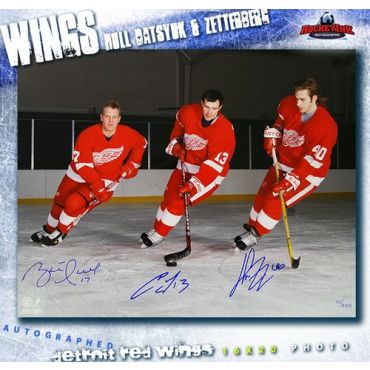 Henrik Zetterberg Pavel Datsyuk and Brett Hull Detroit Red Wings Autographed 16 x 20 Photo